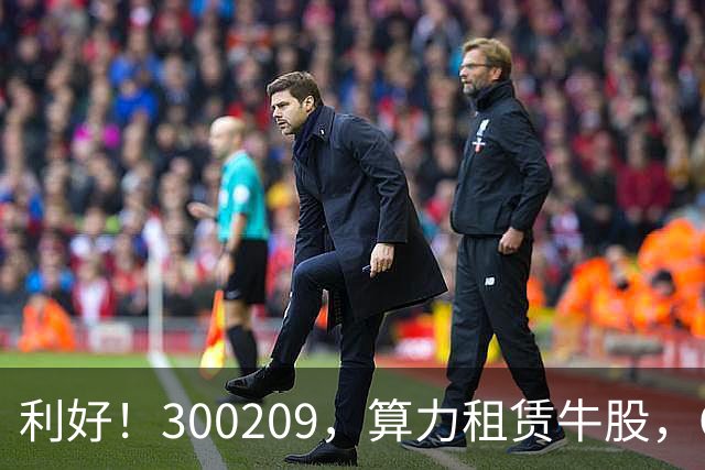 利好！300209，算力租赁牛股，Q3营收大增55倍